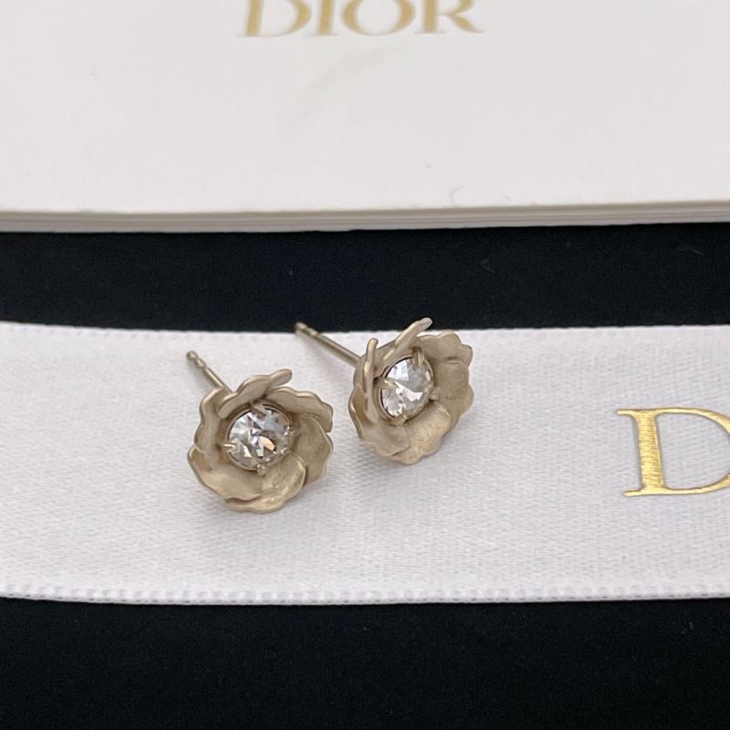 Christian Dior Earrings